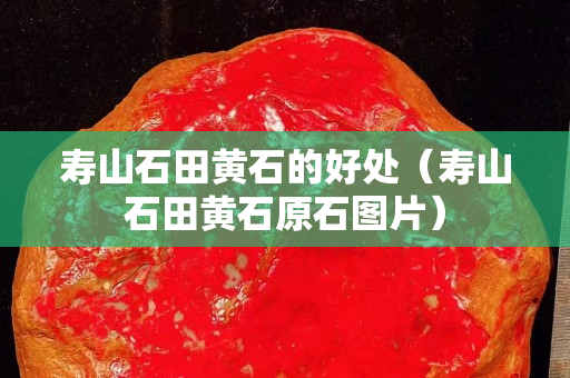 寿山石田黄石的好处（寿山石田黄石原石图片）