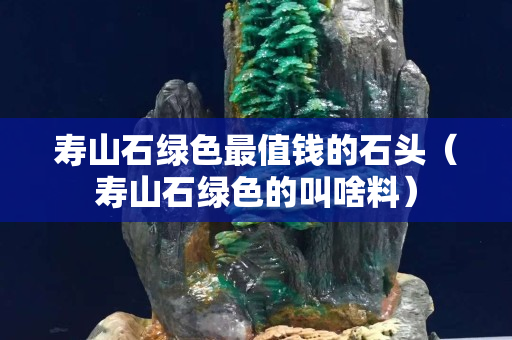 寿山石绿色最值钱的石头（寿山石绿色的叫啥料）