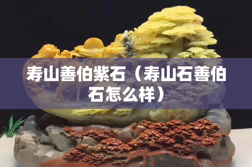 寿山善伯紫石（寿山石善伯石怎么样）
