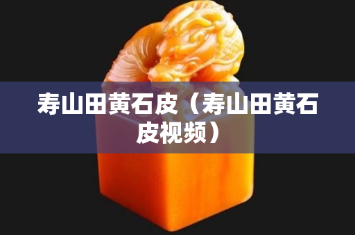 寿山田黄石皮（寿山田黄石皮视频）