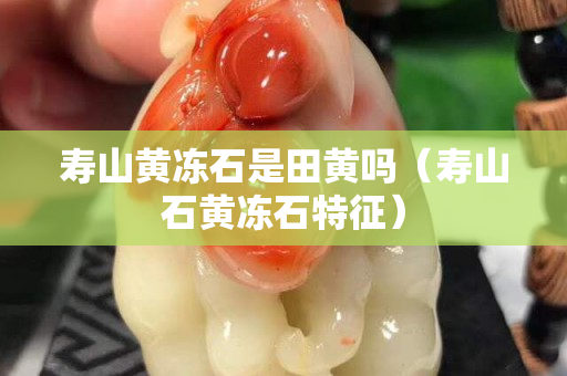 寿山黄冻石是田黄吗（寿山石黄冻石特征）