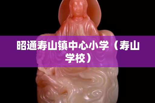 昭通寿山镇中心小学（寿山学校）