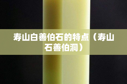 寿山白善伯石的特点（寿山石善伯洞）