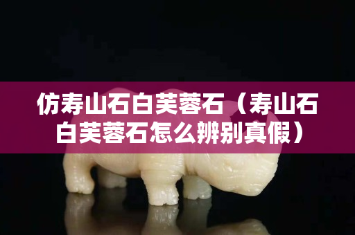 仿寿山石白芙蓉石（寿山石白芙蓉石怎么辨别真假）