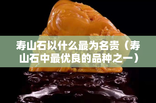 寿山石以什么最为名贵（寿山石中最优良的品种之一）