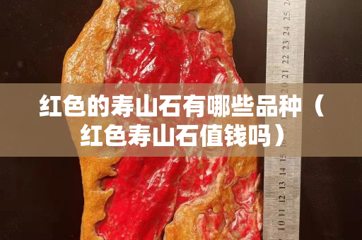 红色的寿山石有哪些品种（红色寿山石值钱吗）
