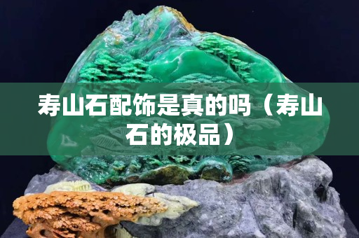 寿山石配饰是真的吗（寿山石的极品）