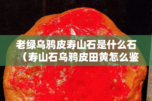 老绿乌鸦皮寿山石是什么石（寿山石乌鸦皮田黄怎么鉴定真假）