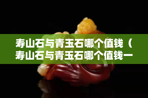 寿山石与青玉石哪个值钱（寿山石与青玉石哪个值钱一点）