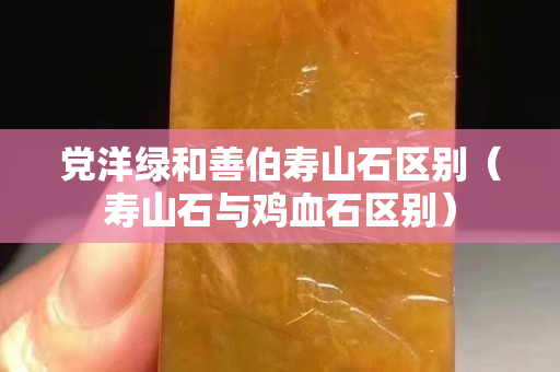 党洋绿和善伯寿山石区别（寿山石与鸡血石区别）