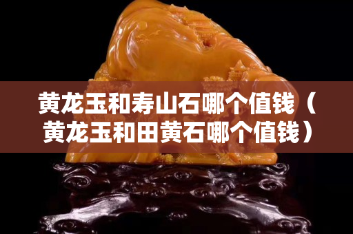 黄龙玉和寿山石哪个值钱（黄龙玉和田黄石哪个值钱）