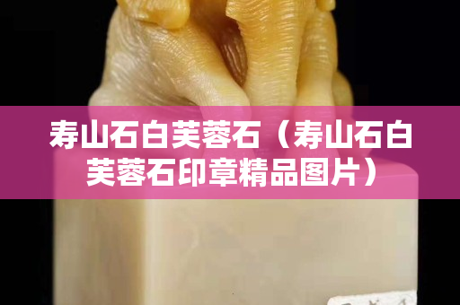 寿山石白芙蓉石（寿山石白芙蓉石印章精品图片）
