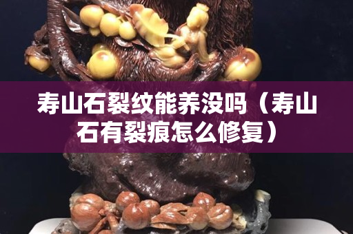 寿山石裂纹能养没吗（寿山石有裂痕怎么修复）