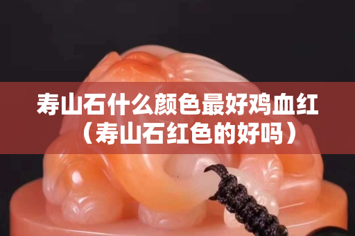 寿山石什么颜色最好鸡血红（寿山石红色的好吗）
