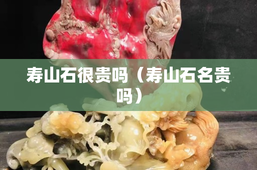 寿山石很贵吗（寿山石名贵吗）