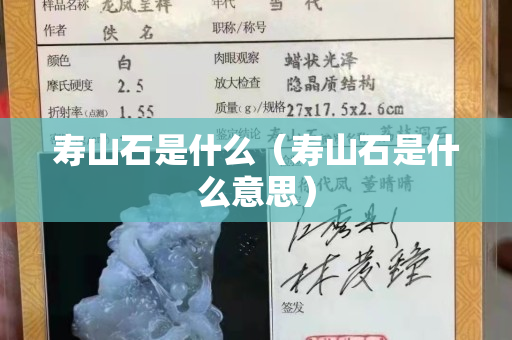 寿山石是什么（寿山石是什么意思）