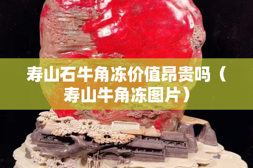 寿山石牛角冻价值昂贵吗（寿山牛角冻图片）