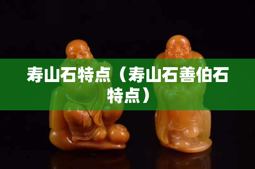寿山石特点（寿山石善伯石特点）