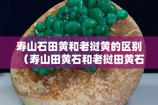 寿山石田黄和老挝黄的区别（寿山田黄石和老挝田黄石的区别）