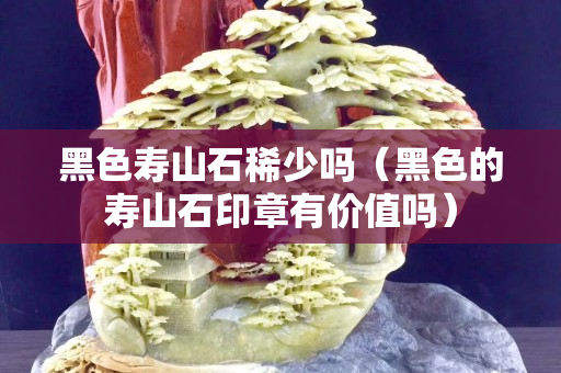 黑色寿山石稀少吗（黑色的寿山石印章有价值吗）