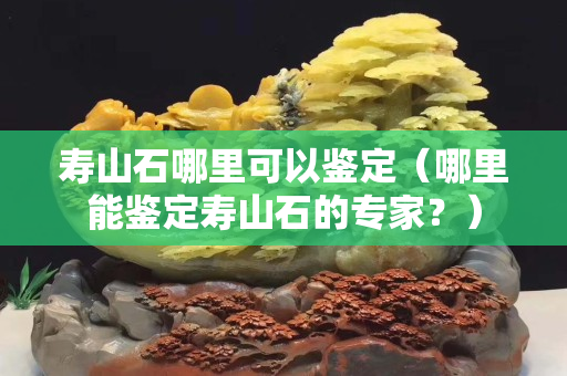 寿山石哪里可以鉴定（哪里能鉴定寿山石的专家？）
