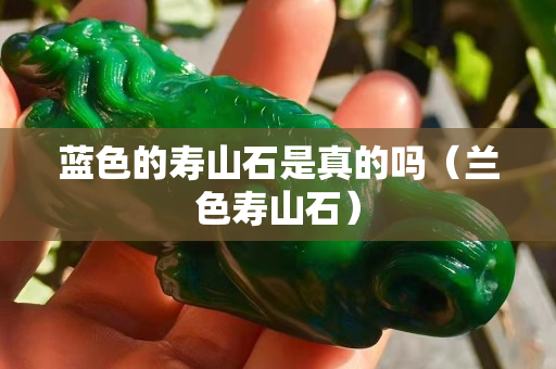 蓝色的寿山石是真的吗（兰色寿山石）