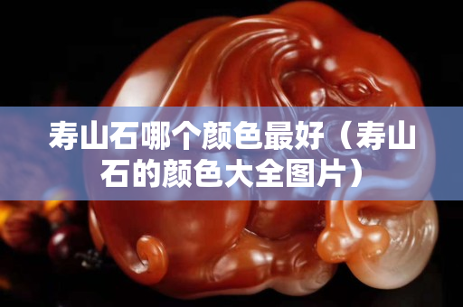 寿山石哪个颜色最好（寿山石的颜色大全图片）