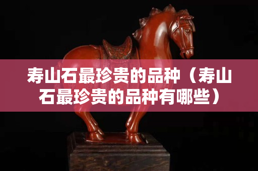 寿山石最珍贵的品种（寿山石最珍贵的品种有哪些）