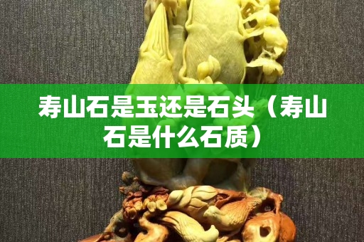寿山石是玉还是石头（寿山石是什么石质）