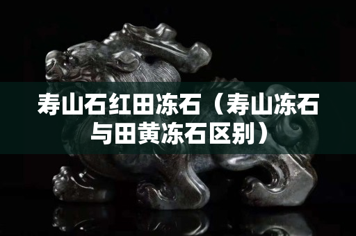 寿山石红田冻石（寿山冻石与田黄冻石区别）