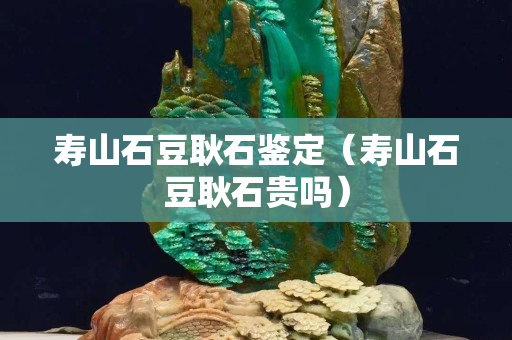 寿山石豆耿石鉴定（寿山石豆耿石贵吗）