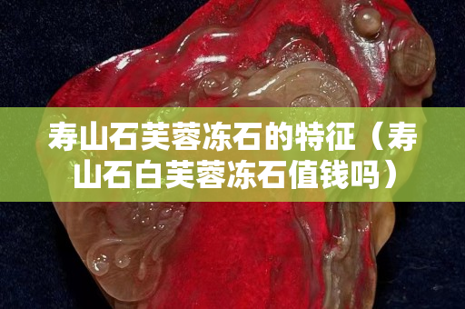 寿山石芙蓉冻石的特征（寿山石白芙蓉冻石值钱吗）