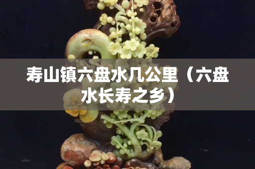 寿山镇六盘水几公里（六盘水长寿之乡）