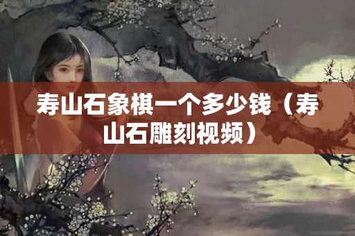 寿山石象棋一个多少钱（寿山石雕刻视频）