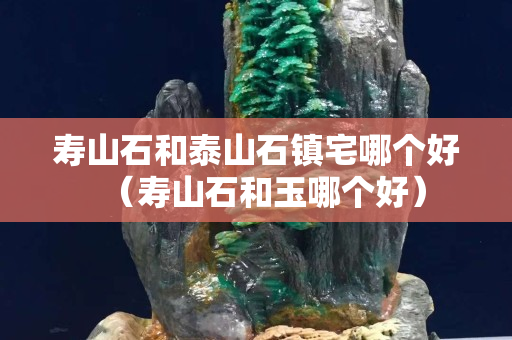 寿山石和泰山石镇宅哪个好（寿山石和玉哪个好）