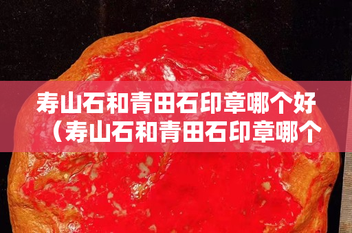 寿山石和青田石印章哪个好（寿山石和青田石印章哪个好一点）