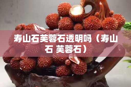 寿山石芙蓉石透明吗（寿山石 芙蓉石）