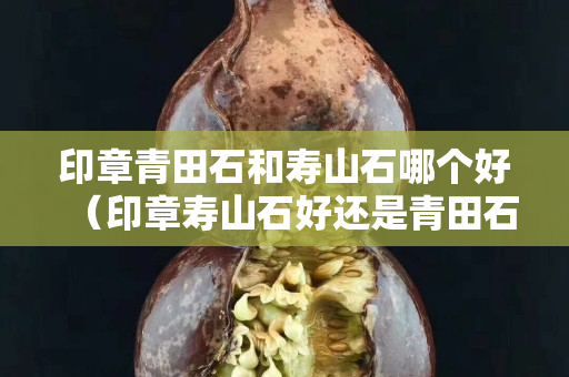 印章青田石和寿山石哪个好（印章寿山石好还是青田石好）