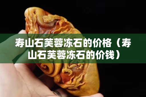 寿山石芙蓉冻石的价格（寿山石芙蓉冻石的价钱）