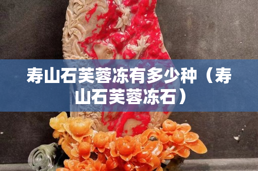 寿山石芙蓉冻有多少种（寿山石芙蓉冻石）