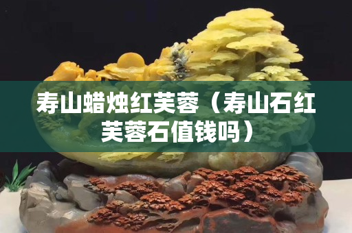 寿山蜡烛红芙蓉（寿山石红芙蓉石值钱吗）