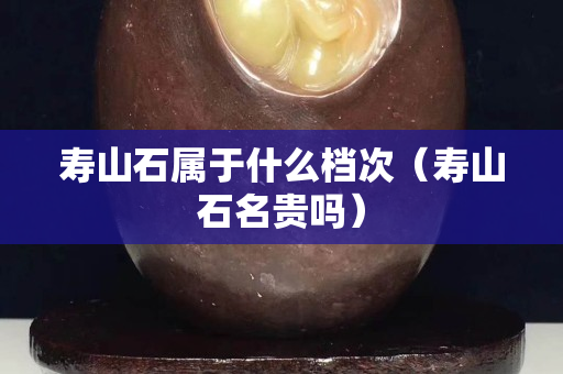 寿山石属于什么档次（寿山石名贵吗）