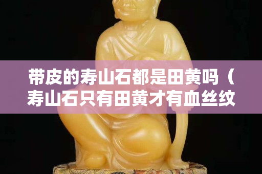 带皮的寿山石都是田黄吗（寿山石只有田黄才有血丝纹吗）