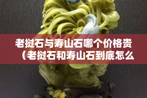 老挝石与寿山石哪个价格贵（老挝石和寿山石到底怎么区分？）