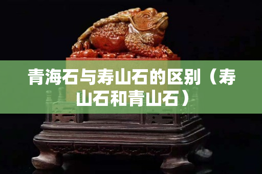 青海石与寿山石的区别（寿山石和青山石）