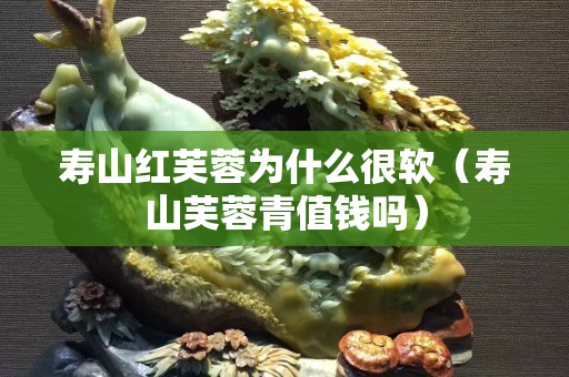 寿山红芙蓉为什么很软（寿山芙蓉青值钱吗）