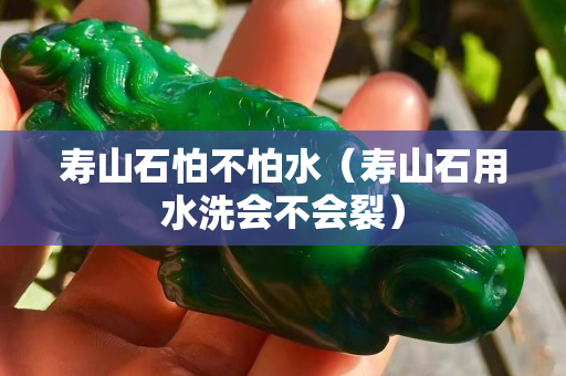 寿山石怕不怕水（寿山石用水洗会不会裂）