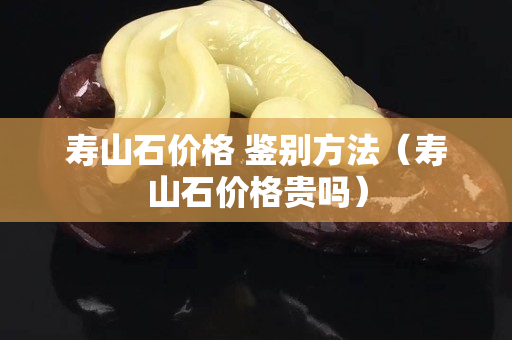 寿山石价格 鉴别方法（寿山石价格贵吗）
