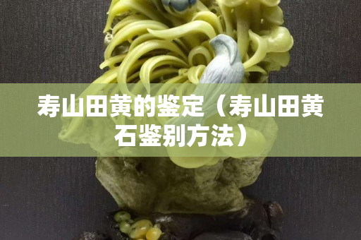 寿山田黄的鉴定（寿山田黄石鉴别方法）
