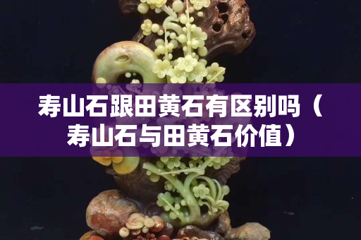 寿山石跟田黄石有区别吗（寿山石与田黄石价值）